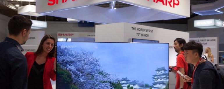 Sharp хочет, чтобы «японский альянс» повысил конкуренцию OLED TV