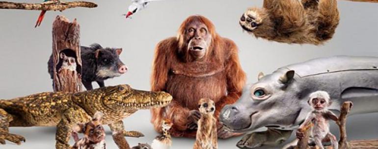 Роботы сняли для BBC новый сериал о животных
