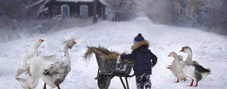 -Который час