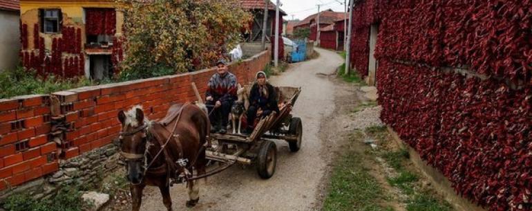 Сербская “столица паприки”