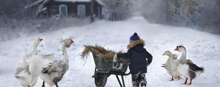 -Который час 