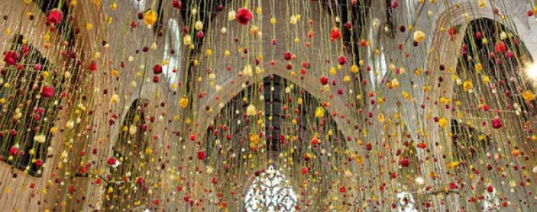 Красочные инсталляции из сотни тысяч живых цветов