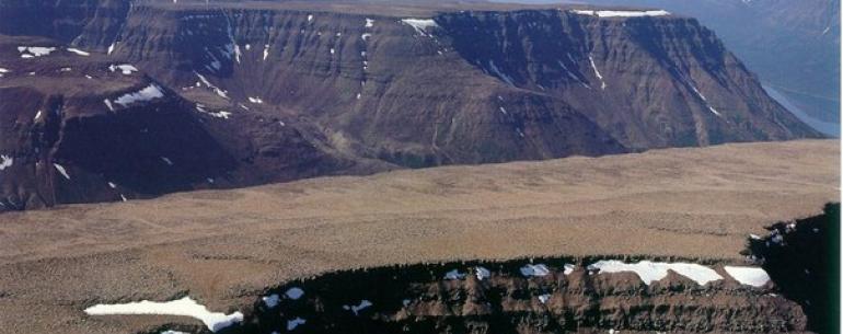 Плато Путорана — это самое северное и одно из самых древних в мире плато вулканического происхождения. Его площадь составляет 2 млн Га. Плато расположено южнее полуострова Таймыр и восточнее самого крупного заполярного города в мире — Норильска, с максима