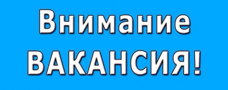 ????Работа в интернете????