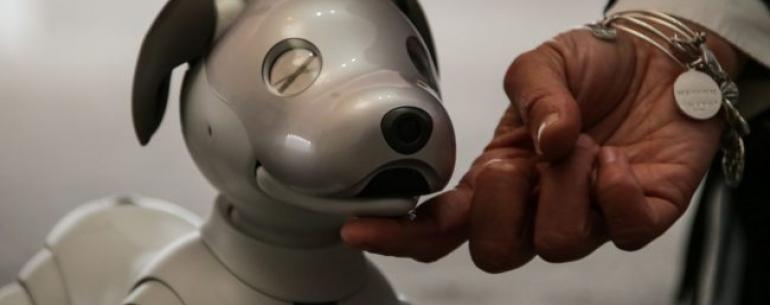 #CES 2018 | Посетители CES 2018 пришли в восторг от новой версии робота Aibo