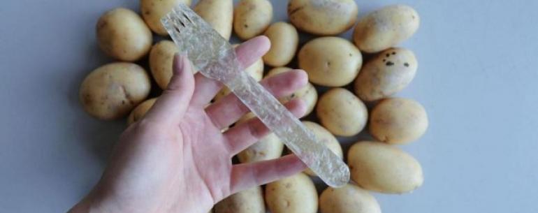 Разработан биоразлагаемый «пластик» из… картофеля