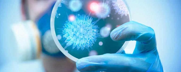 Ученые определили черты вируса, который вызовет пандемию