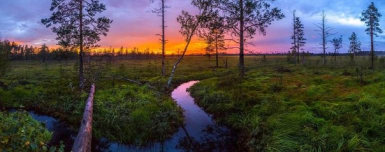 Летние сумерки над рекой. Река Сестра. Ленинградская область.